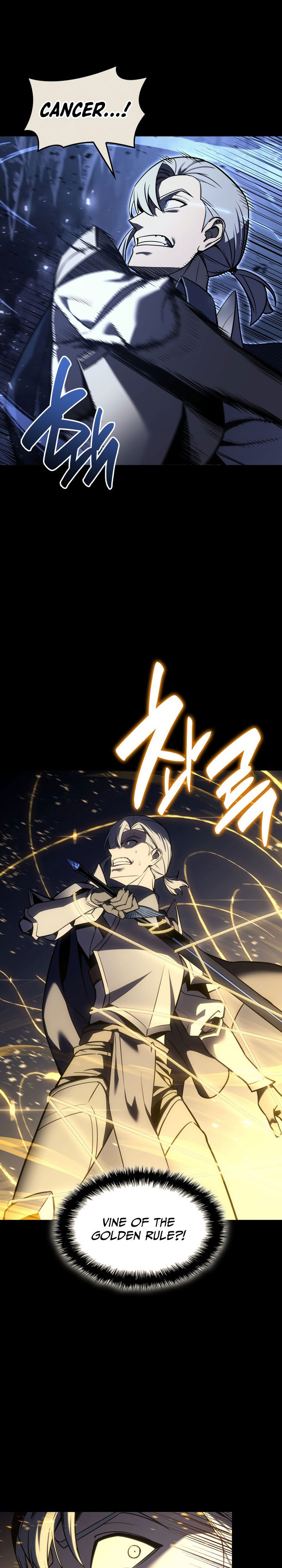 A Disaster-Class Hero Has Returned Chapter 117 page 9