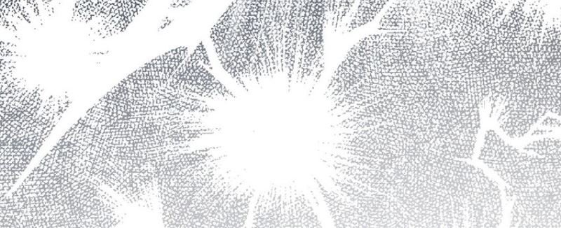 All Hail the Sect Leader Chapter 248 page 27