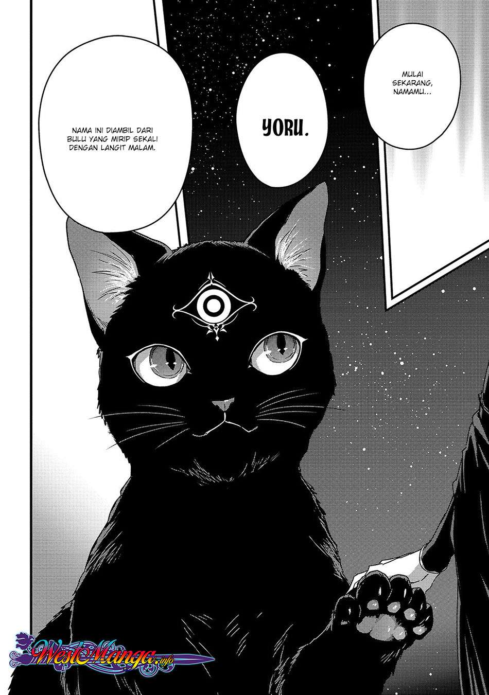 Assassin de aru ore no Sutetasu ga Yuusha yori mo Akiraka ni Tsuyoi Nodaga Chapter 11 page 22