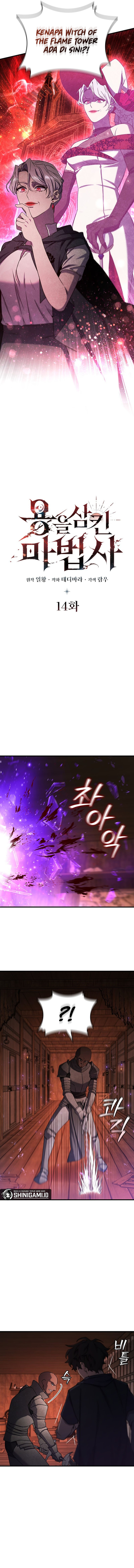 Dragon-Devouring Mage Chapter 14 page 6