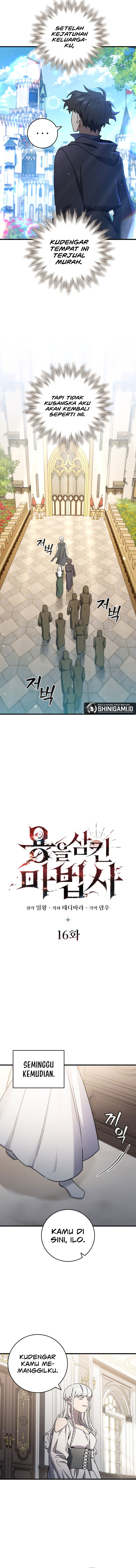 Dragon-Devouring Mage Chapter 16 page 4