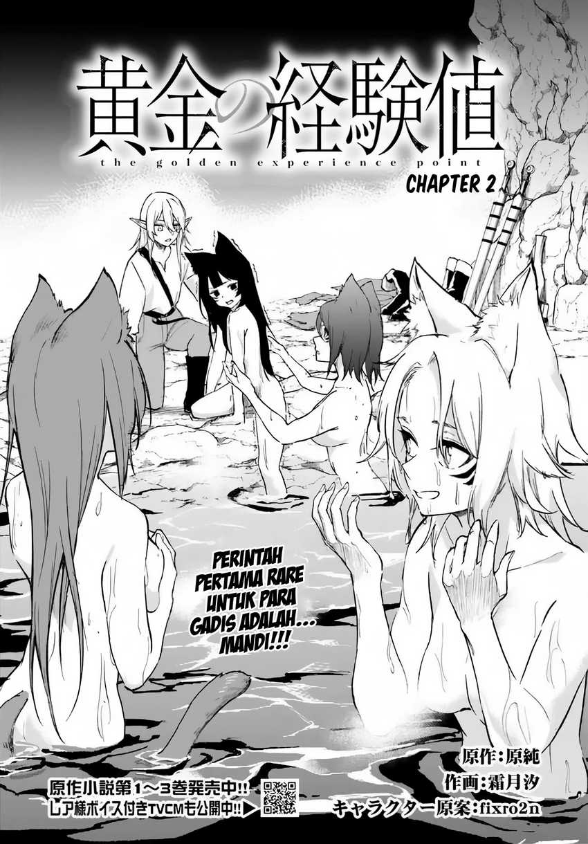 Ougon no Keikenchi Chapter 2 page 2