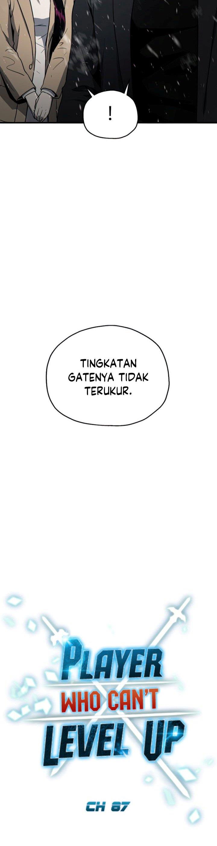 Player Who Can’t Level Up Chapter 87 page 14