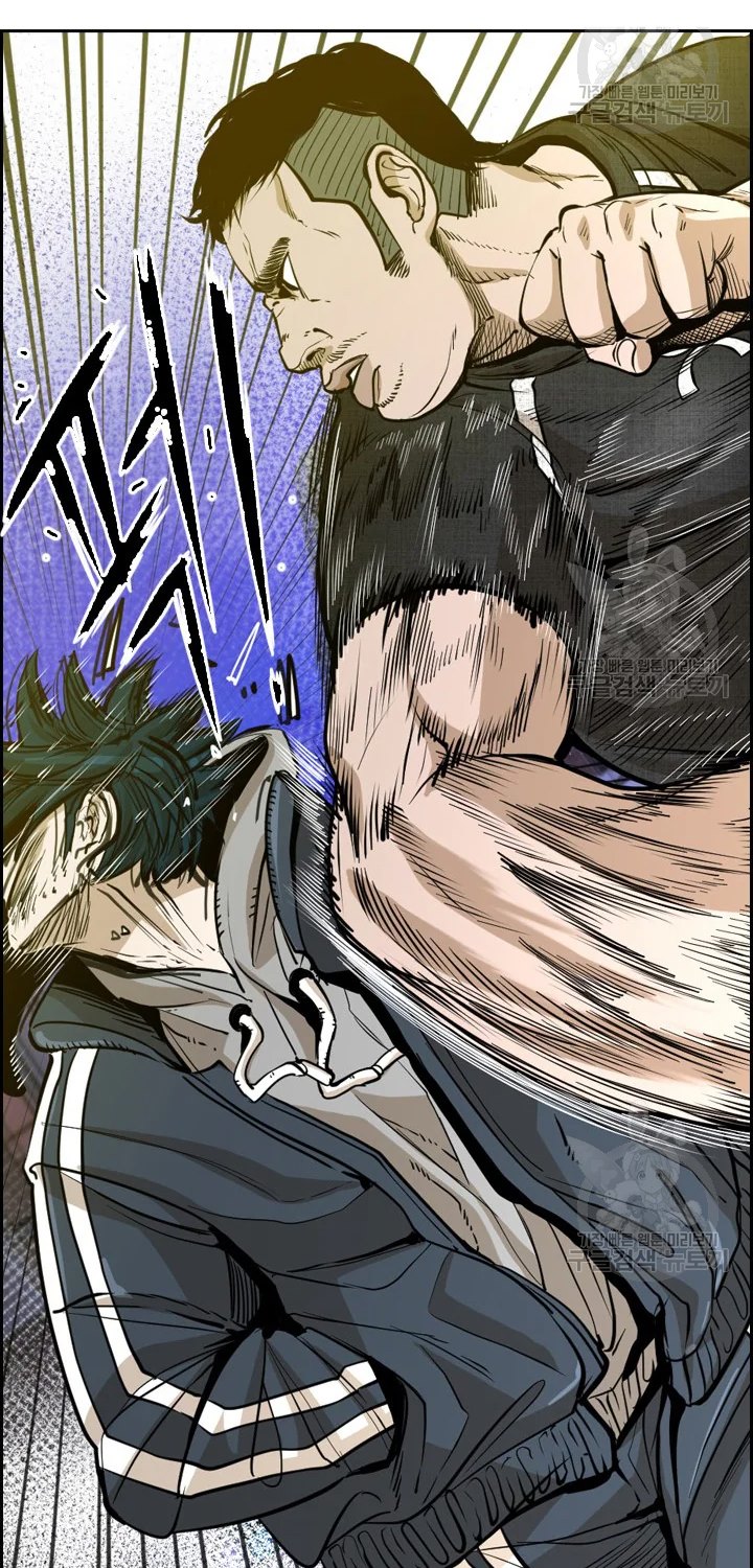 Shark Chapter 223.2 page 31